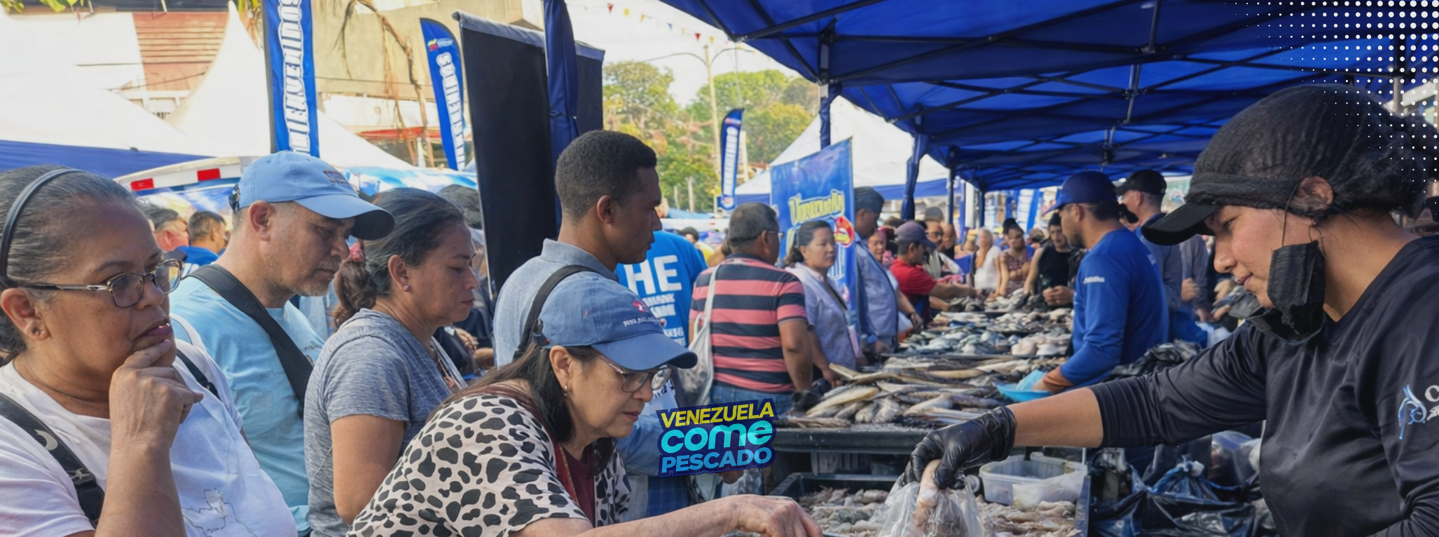 Nuestras categorí­as