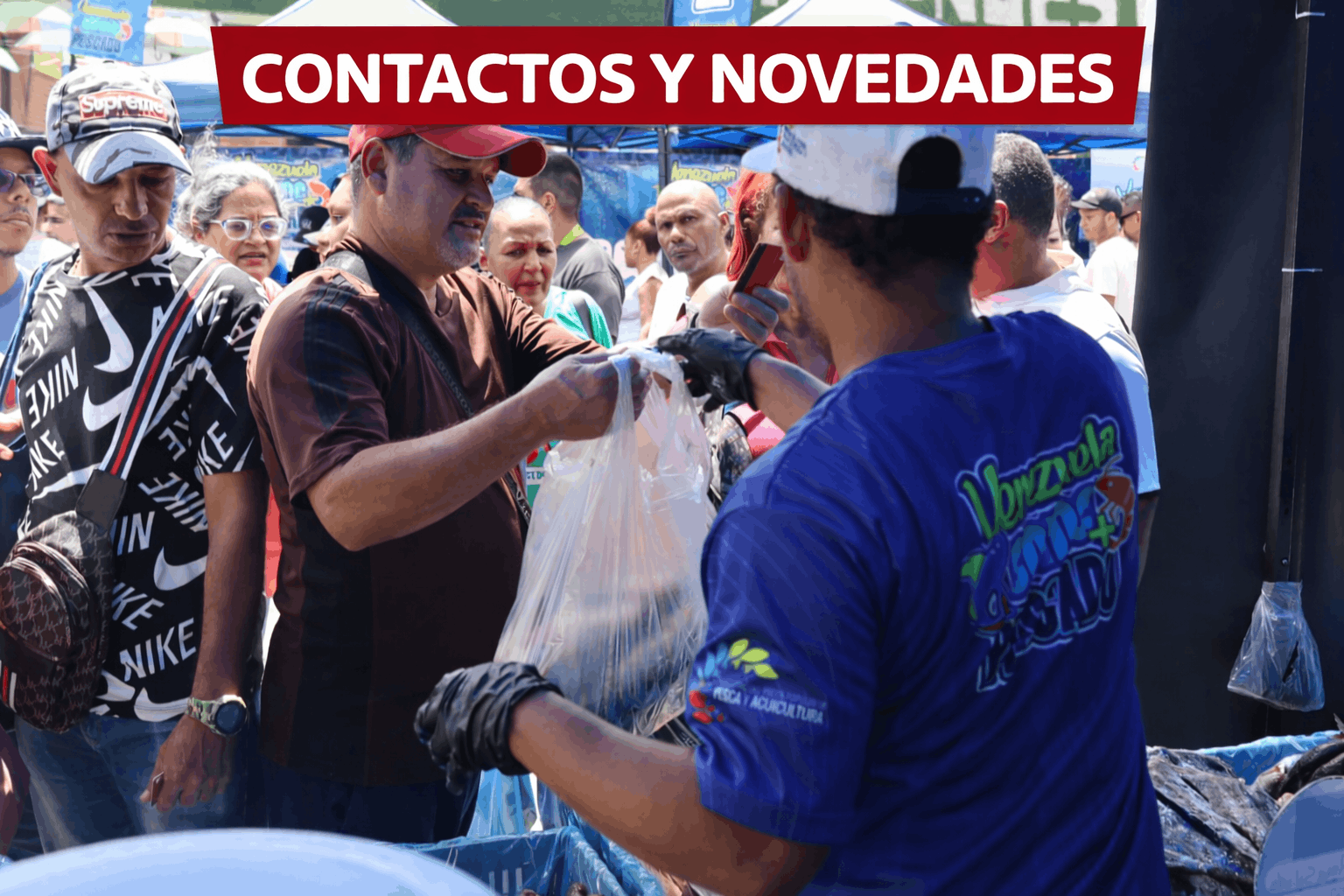 Contactos y Novedades de CORPESCA