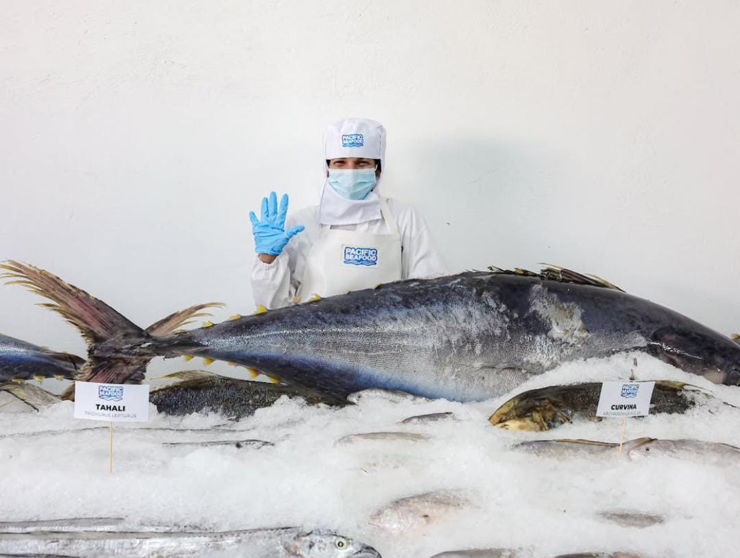 Productos pesqueros para procesamiento