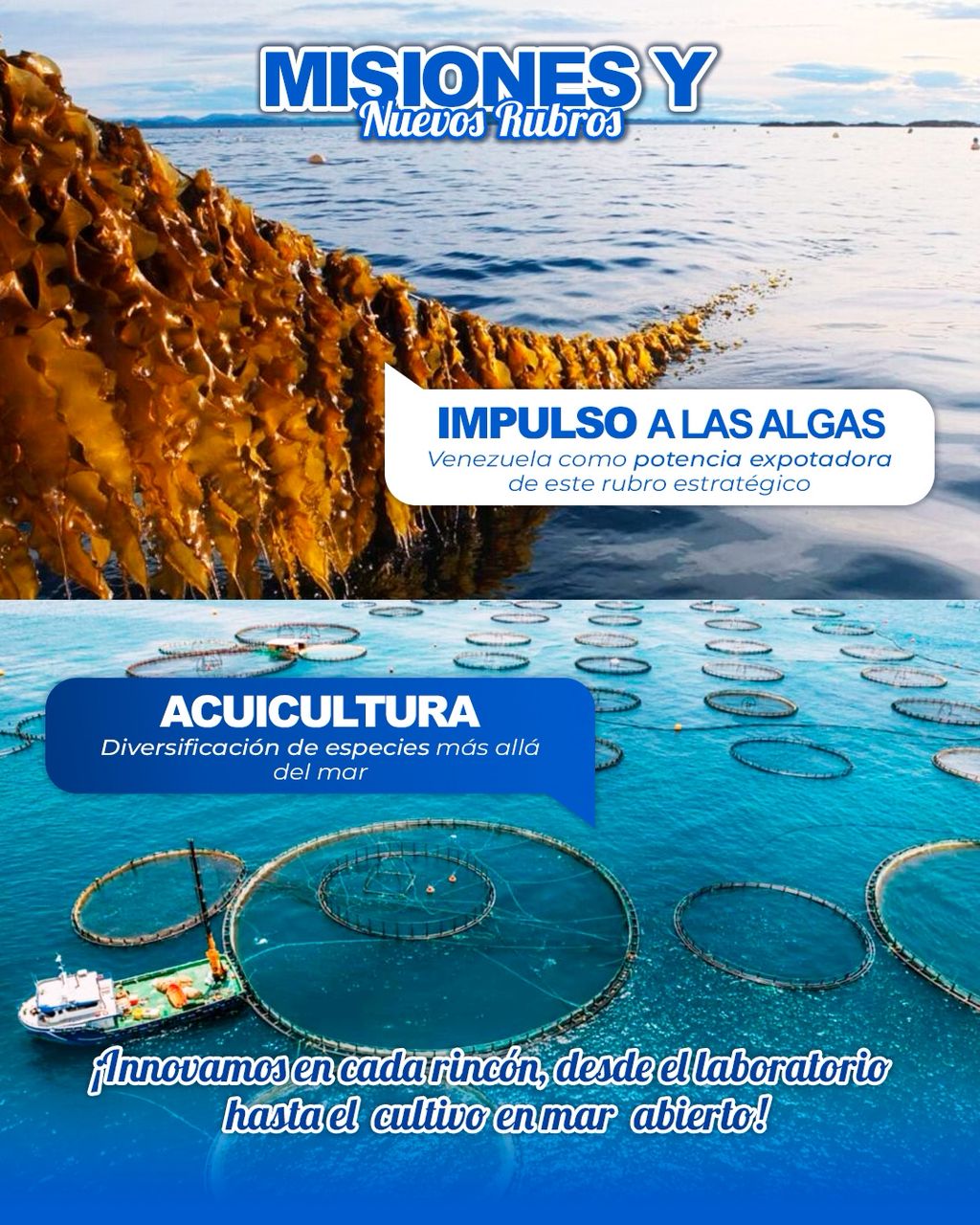 Misiones y Programas